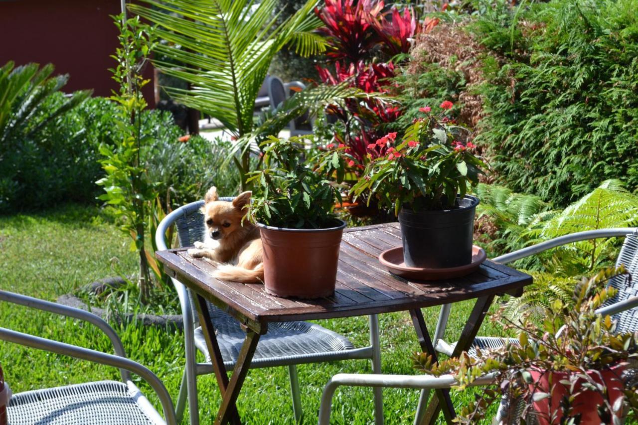Maderedocevida Bed & Breakfast Boaventura Dış mekan fotoğraf
