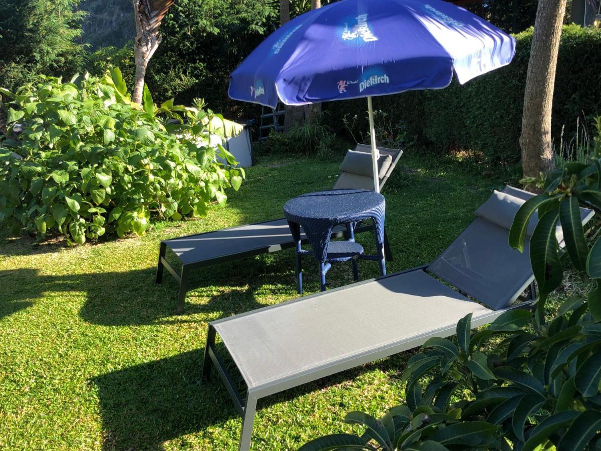 Maderedocevida Bed & Breakfast Boaventura Dış mekan fotoğraf