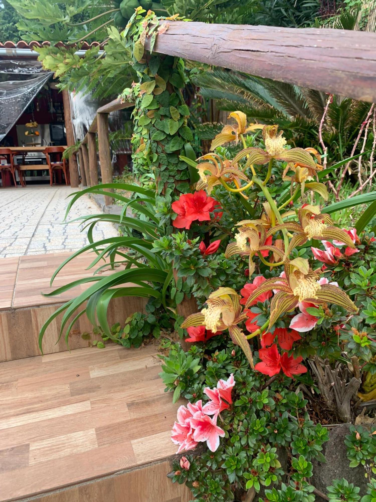 Maderedocevida Bed & Breakfast Boaventura Dış mekan fotoğraf