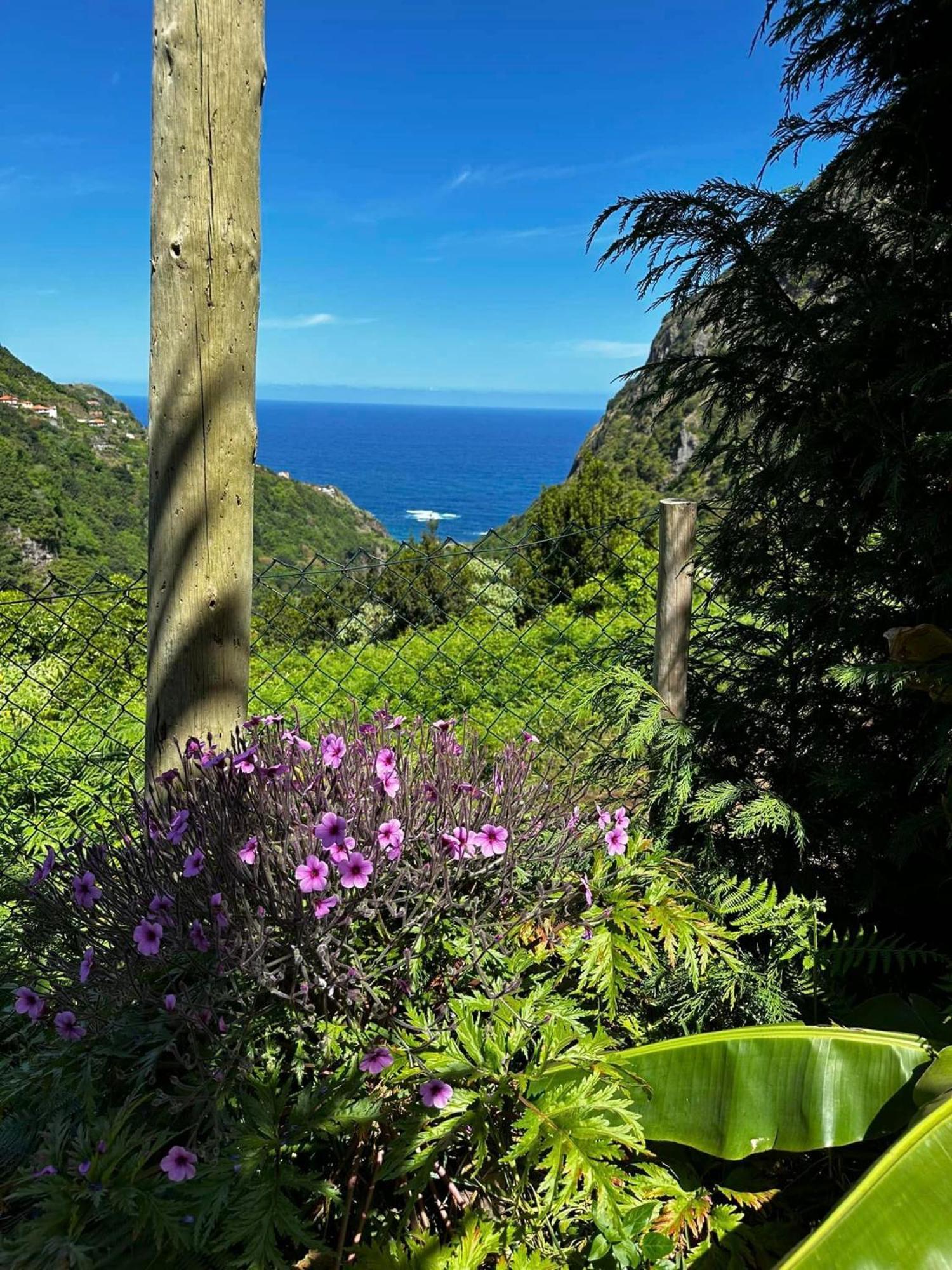 Maderedocevida Bed & Breakfast Boaventura Dış mekan fotoğraf