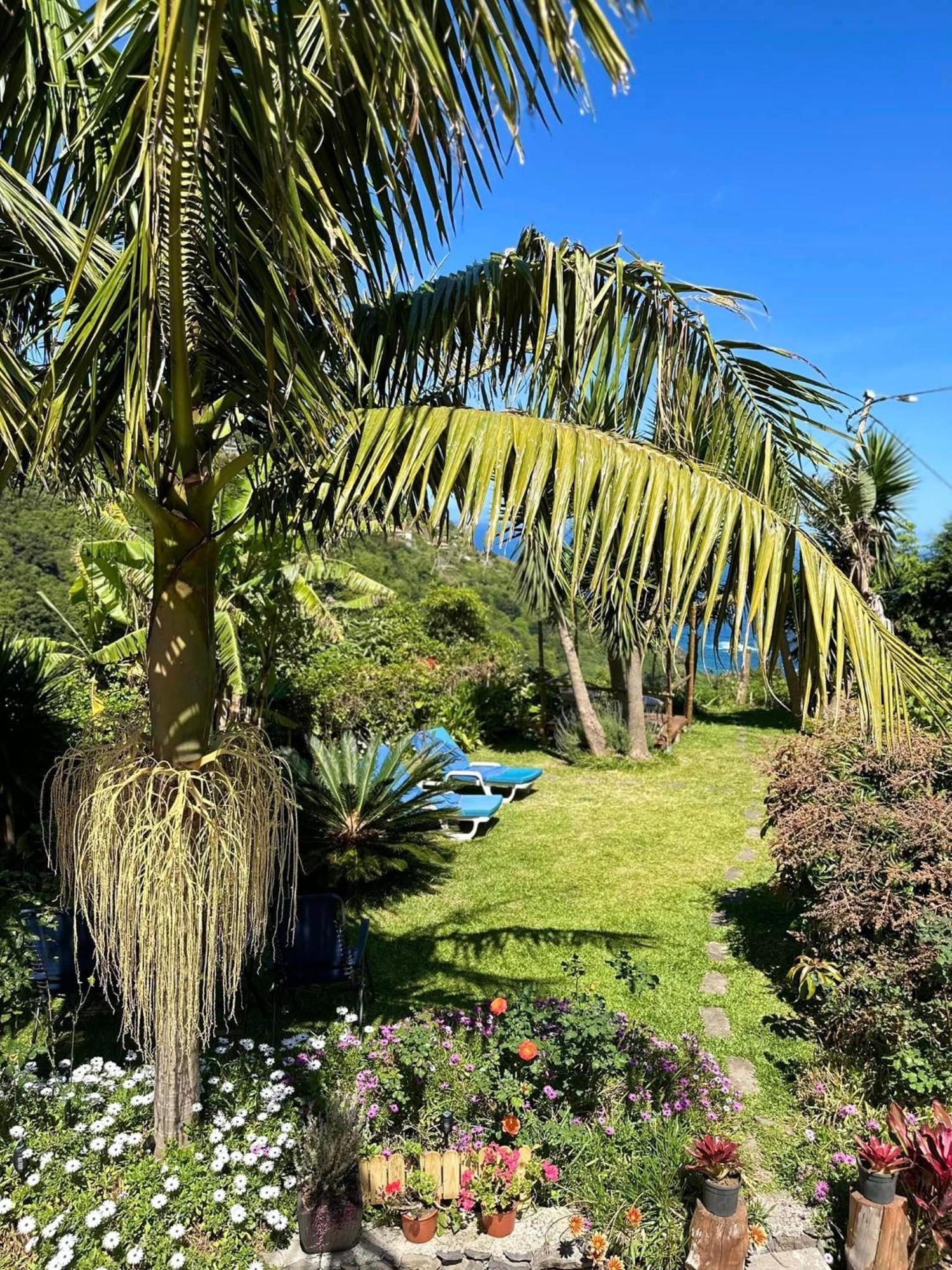 Maderedocevida Bed & Breakfast Boaventura Dış mekan fotoğraf